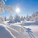 ���� �������, ����� - ��������� 10 ������� 2017 � ������ ������ ��������