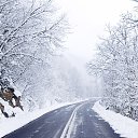 ���� Aleks, �����-��������� - ��������� 29 ������� 2016 � ������ ������ ��������