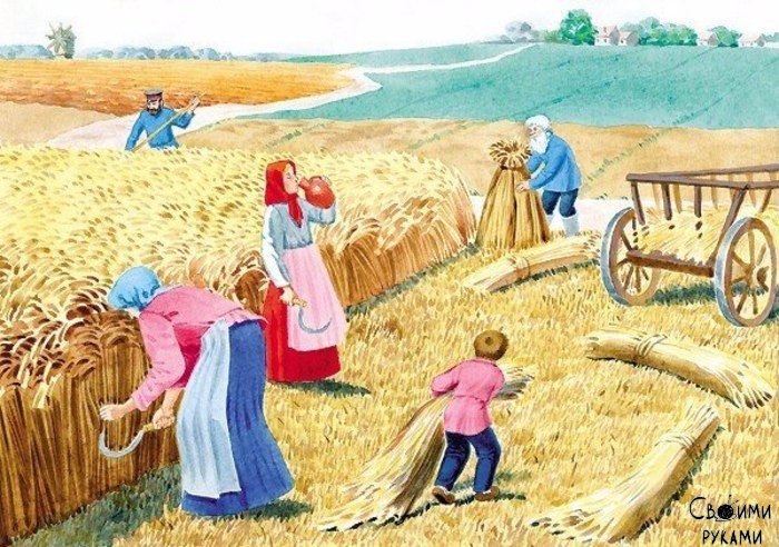 Советы предков.Воду пей перед едой – будешь долго молодой.Коже рук вернёт былое сок чесночный и ...