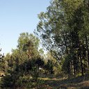 ���� Yuri, ���� - ��������� 26 ������� 2017 � ������ �Carnikava 2016�