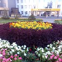 ���� �����, �����������, 60 ��� - ��������� 8 ������� 2016 � ������ �����-����� 2016�