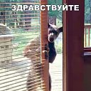���� Baxromjon_585, ������, 58 ��� - ��������� 15 ������ 2017 � ������ ������ ��������