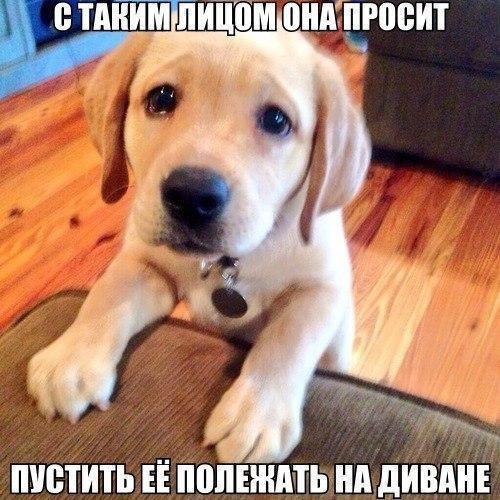 ������ - 20 ����� 2017 � 23:38