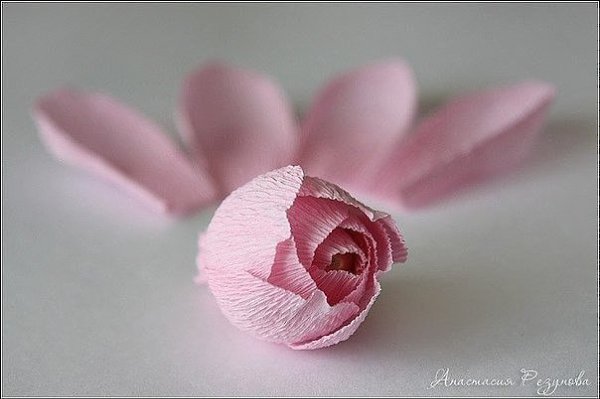 ����-������. ������� ����� - 8