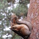 ���� ����, ������� - ��������� 15 ������� 2016 � ������ ���� ����������