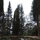  , , 60  -  26  2017   ,21.01.17. &quot;&quot;))