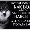 ���� ����, ������� - ��������� 8 ������ 2016 � ������ ���� ����������