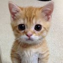 ���� �������, ������-���, 47 ��� - ��������� 2 ������� 2016