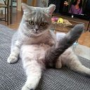 ���� ������, �����-���������, 44 ���� - ��������� 4 ������� 2016 � ������ ���� ����������