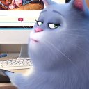  ***Marishka,  -  21  2017    