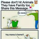 ���� Vijay, �����-���������, 39 ��� - ��������� 19 ������� 2016 � ������ ������ ��������