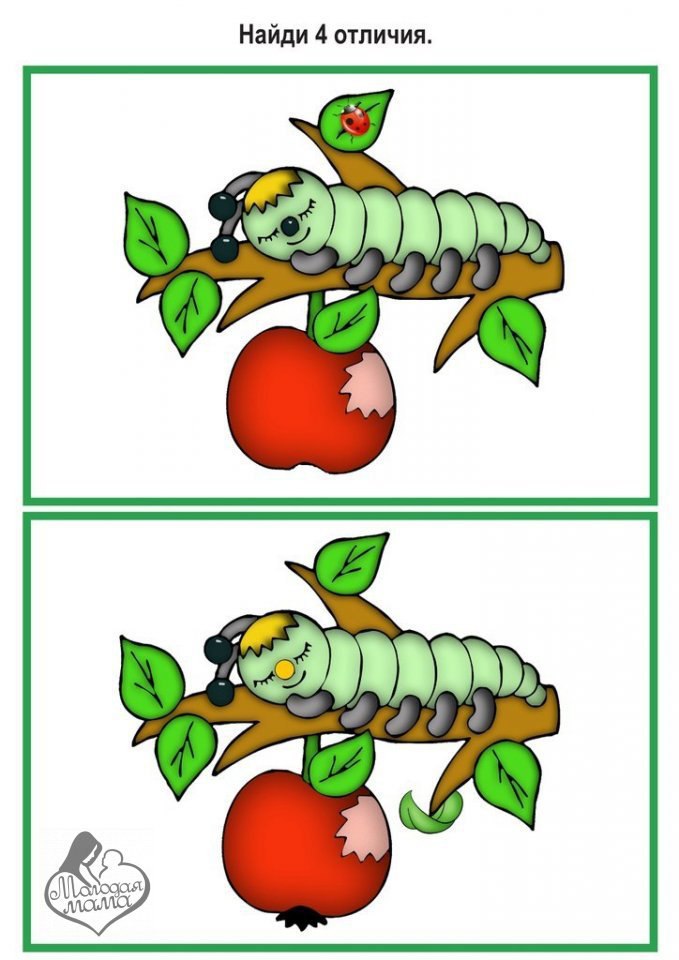 Найди отличия насекомые картинки 5 6 лет