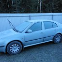 ���� ������, ���������, 62 ���� - ��������� 17 ������� 2017 � ������ ���� ����������