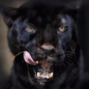 ���� �����, ������, 44 ���� - ��������� 24 ������ 2017 � ������ ���� ����������