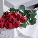 ���� �������, �������� - ��������� 6 ����� 2017 � ������ ���� ����������