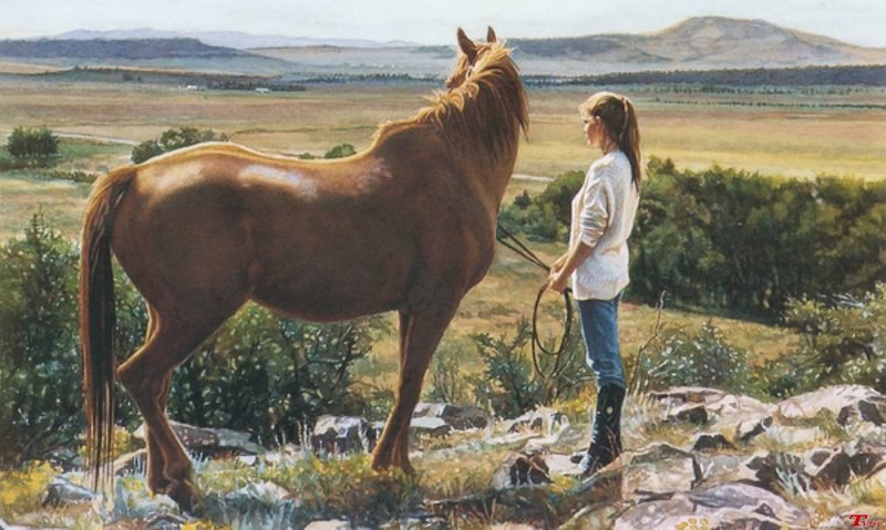 , ,  .  !!!   (Steve Hanks)    ... - 31