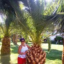 ���� �������, ������ - ��������� 4 ������� 2017 � ������ ���� ����������