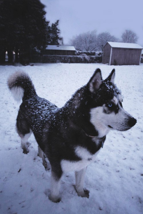  ! - 5