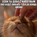 ���� �����, ��������, 48 ��� - ��������� 2 ������� 2016 � ������ ������ ��������