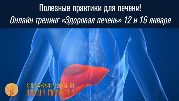 Печень - незаменимый фильтр нашего организма! А мы её не ценим... Печень – это уникальный орган в ...
