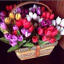 ���� �����, ������ - ��������� 19 ����� 2017 � ������ ������ ��������