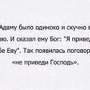 ���� �����, �������������� - ��������� 22 �������� 2016 � ������ ������ ��������