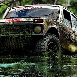 ���� ������, ������������, 48 ��� - ��������� 5 ������ 2017