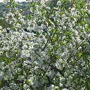 ���� Yusoup, ������, 70 ��� - ��������� 1 ������ 2017 � ������ ���� ����������