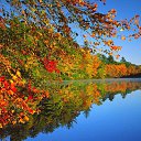 ���� Arut, ������ - ��������� 8 ������� 2016 � ������ ���� ����������