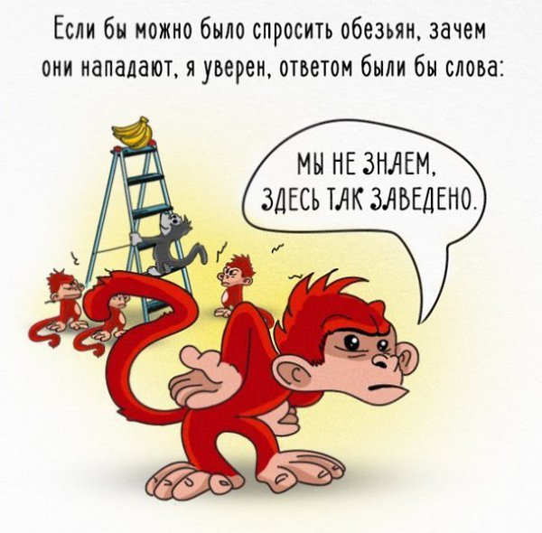 Как работает общество на примере обезьян и бананов. А вам знакомо? - 10