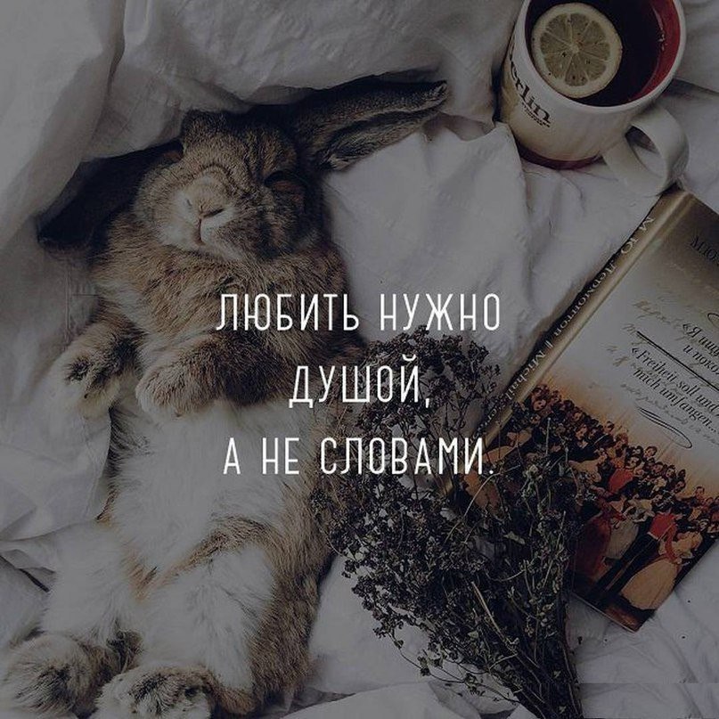 .https://fotostrana.ru/away?to=/sl/kxC2 - 18  2017  12:44