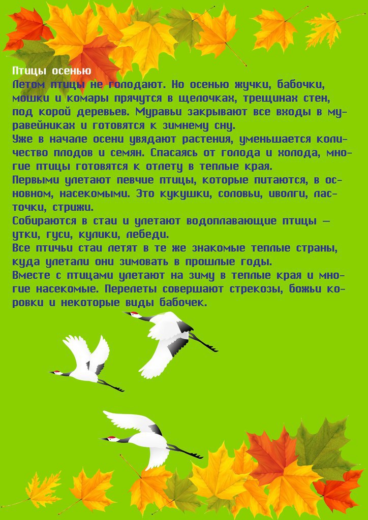 Сказка про осень для дошкольников. Рассказ про осень для дошкольников. Птицы осенью для родителей дошколят. Осень рассказ для детей дошкольников. Рассказы про детей осенью.