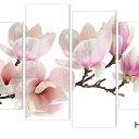 ���� �����, ���������, 44 ���� - ��������� 4 ����� 2017 � ������ ���� �������� ������