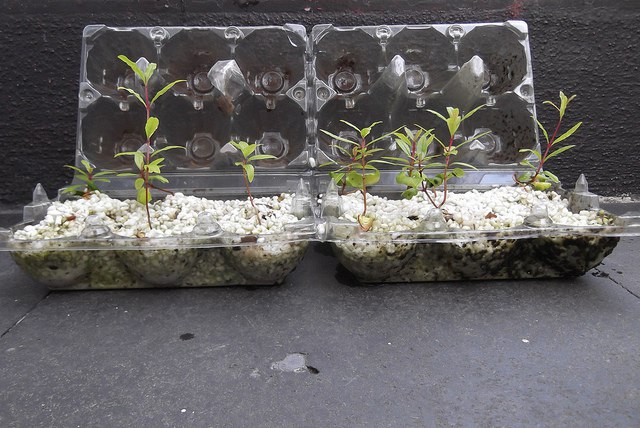 ���������� ������: ��� �������� � ��������� ������ � �������� ��������. ������ ���� �� ����� ... - 5