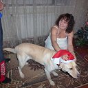 ���� Mech Ta, �����, 54 ���� - ��������� 1 ������ 2017 � ������ ���� ����������