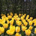 ���� Lana, ������, 54 ���� - ��������� 1 ������ 2017 � ������ �Timeline Photos�