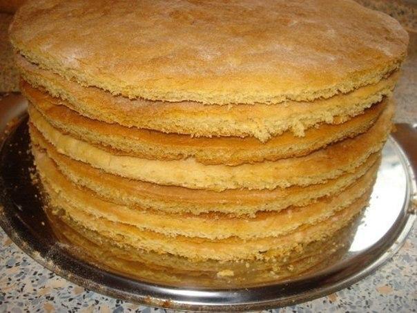 Как быстро приготовить коржи для торта? Коржи для торта в количестве девять - десять штук можно ...