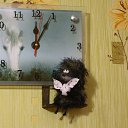 ���� ������, ��������, 48 ��� - ��������� 11 ����� 2017 � ������ ������ ��������