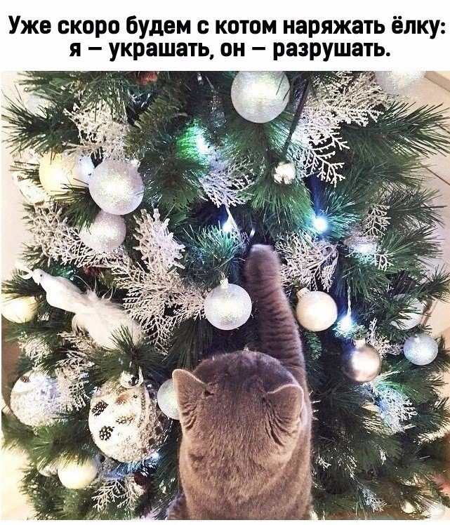   -  ,  -  - 24  2016  18:24