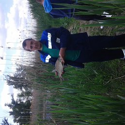 ���� ���������, ���������, 38 ��� - ��������� 26 ������� 2017