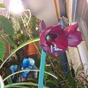 ���� ���������, �����-���������, 64 ���� - ��������� 29 �������� 2016 � ������ ���� �������� ����� !�