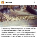 ���� ������, ������, 54 ���� - ��������� 25 ������ 2016 � ������ ������ ��������