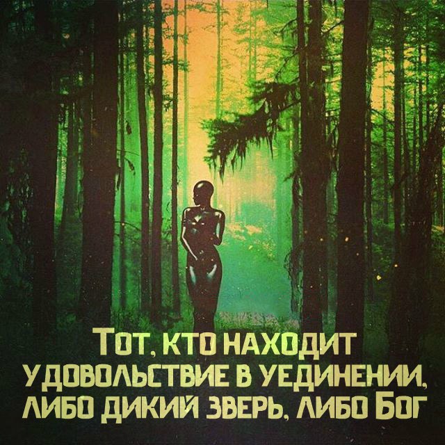  | ,  - 21  2016  10:45