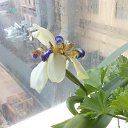 ���� ���������, �����-���������, 64 ���� - ��������� 29 �������� 2016 � ������ ���� �������� ����� !�