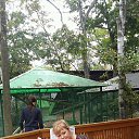 ���� ��������, �����������, 57 ��� - ��������� 27 �������� 2016