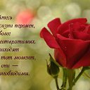 ���� �������, ��������, 66 ��� - ��������� 16 ������ 2016 � ������ ������ ��������