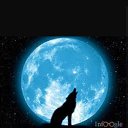 ���� �������, �������� - ��������� 18 ������ 2016 � ������ ���� ����������