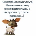 ���� ��������, ������� - ��������� 27 ����� 2017 � ������ ������ ��������