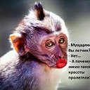 ���� ���������, �����-��������� - ��������� 11 ������ 2017 � ������ ������ ��������