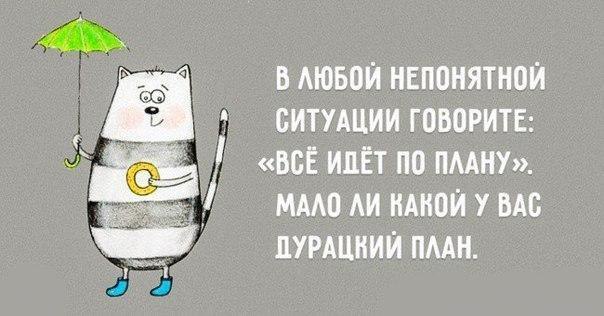 ...     - 4